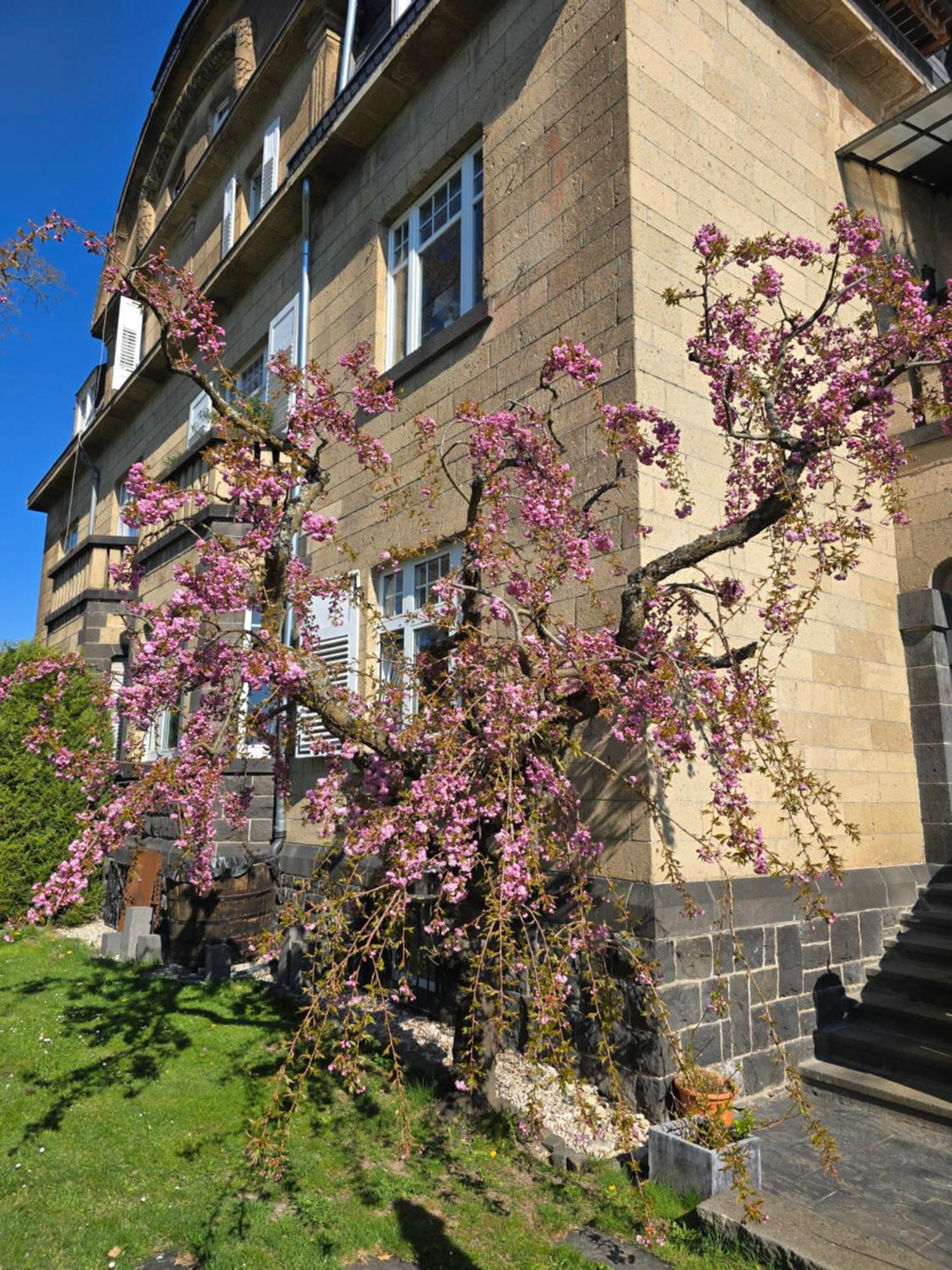 Villa Valerius Kottenheim Bagian luar foto